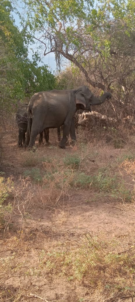 Colombo taxi airport gallery image